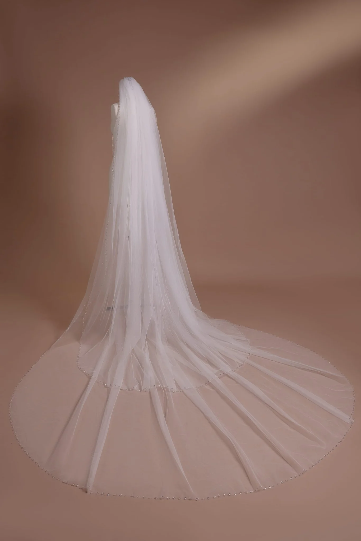 Beaded Cathedral Veil with Elegant Edge Detailing in Luxurious Cathedral Length