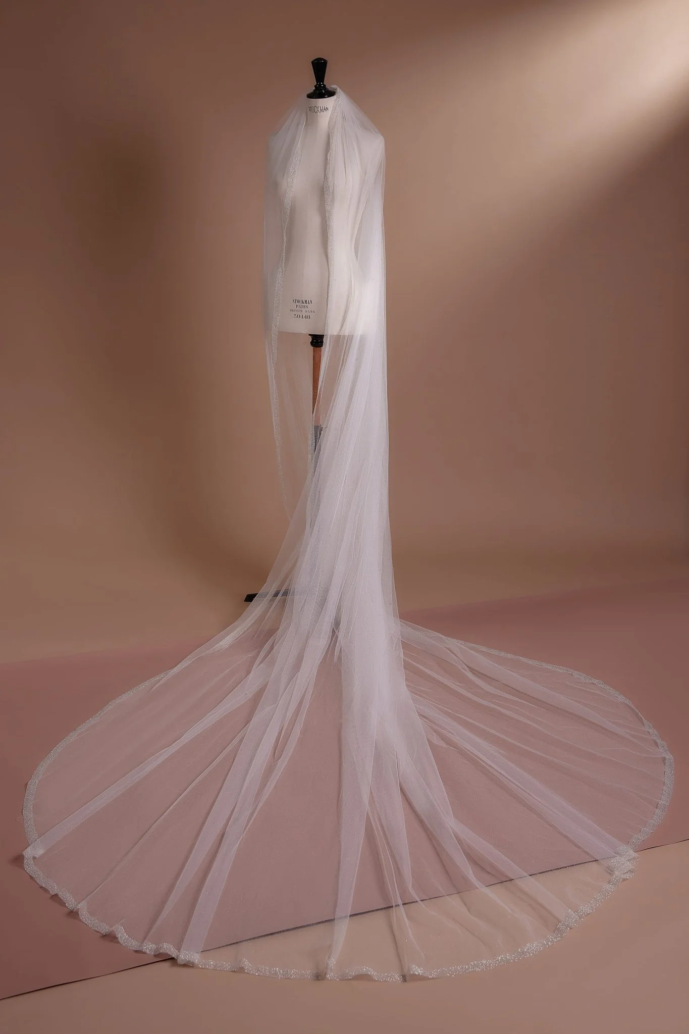 Cathedral Length Wedding Veil with Lace Trim