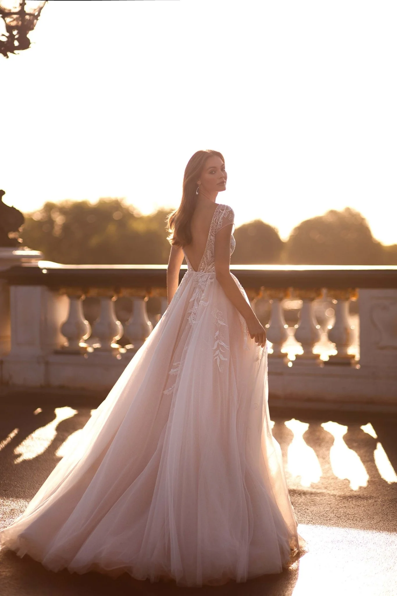 Champagne Wedding Dress with Sleeves and Floral Appliqués Plus Size - Image 3