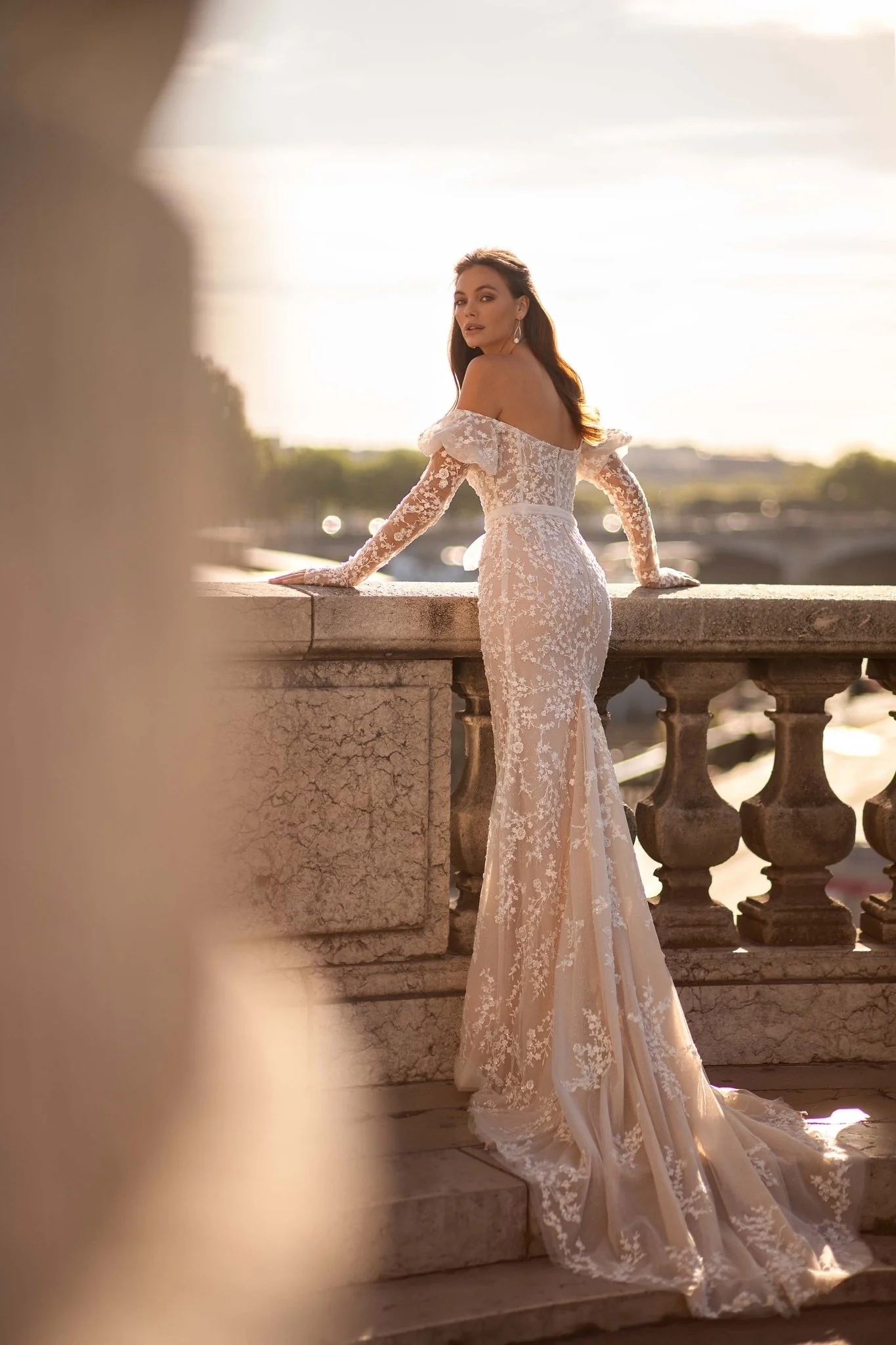 Champagne Wedding Dress with Sleeves and Lace Appliqués, Featuring 3D Floral Design, Long Chapel Train, and Delicate Tulle Plus Size - Image 4