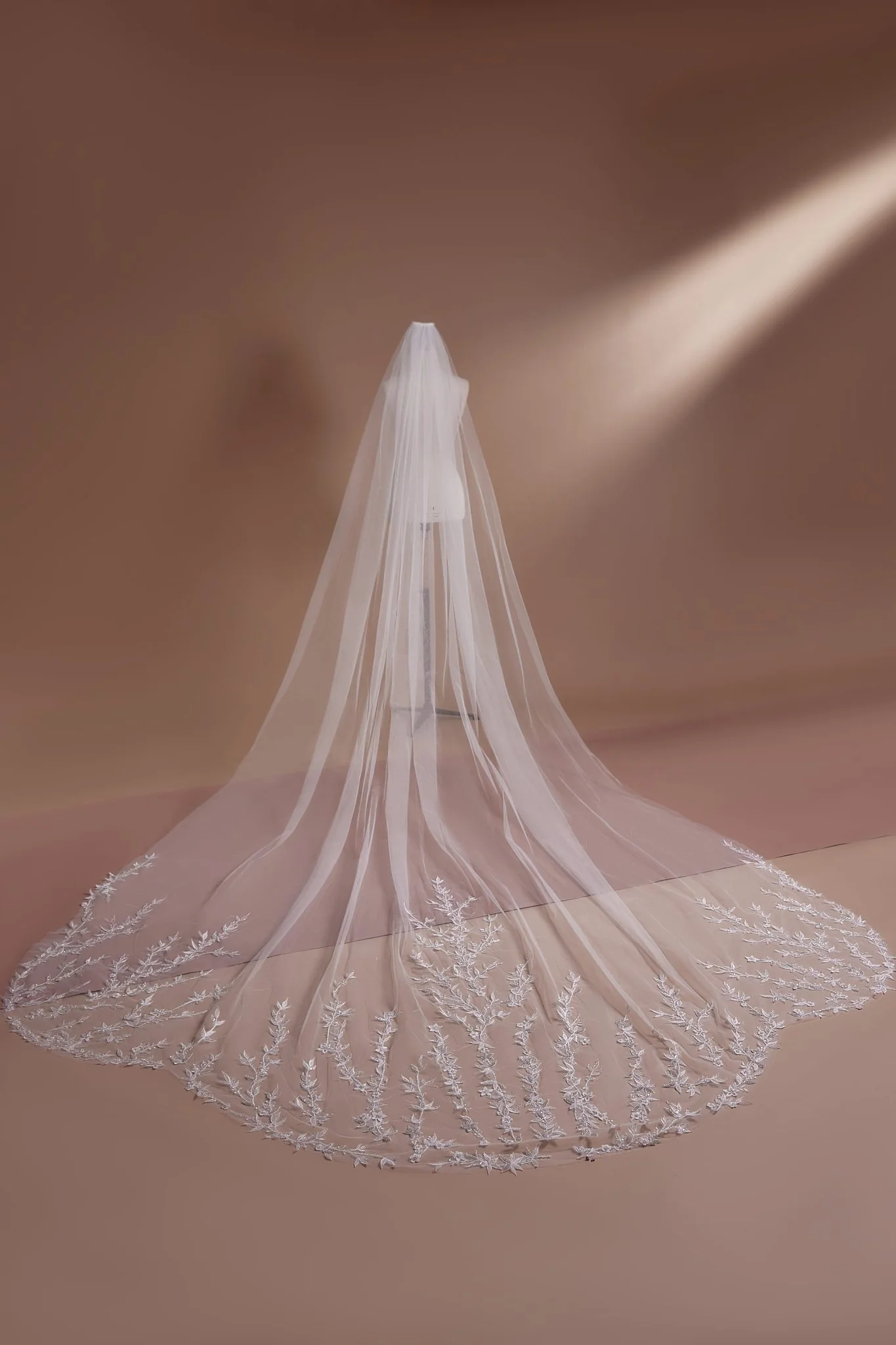 Embroidered Cathedral Veil with Lace Trim Plus Size