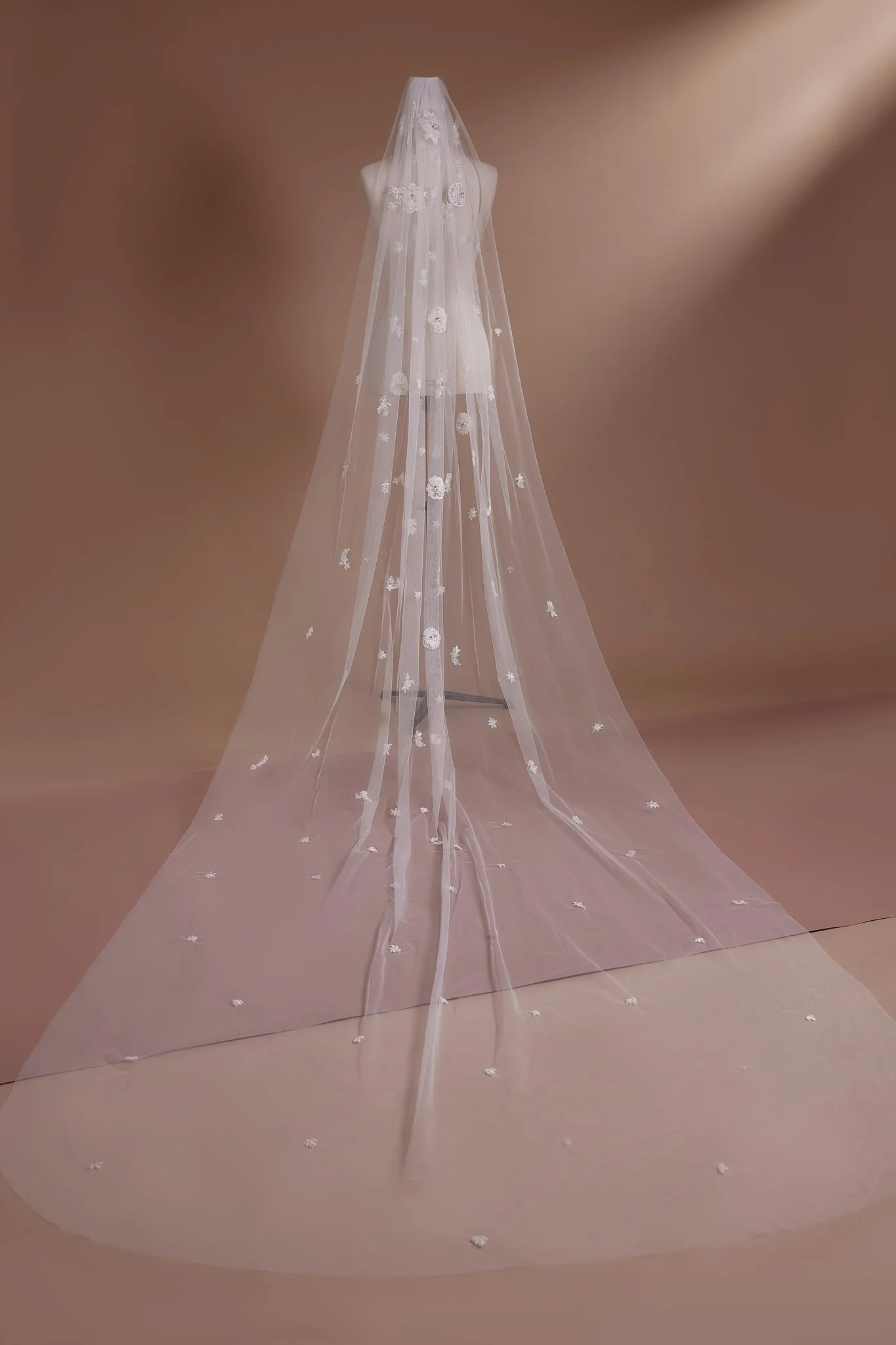 Floral Embellished Cathedral Veil with Pearls Plus Size