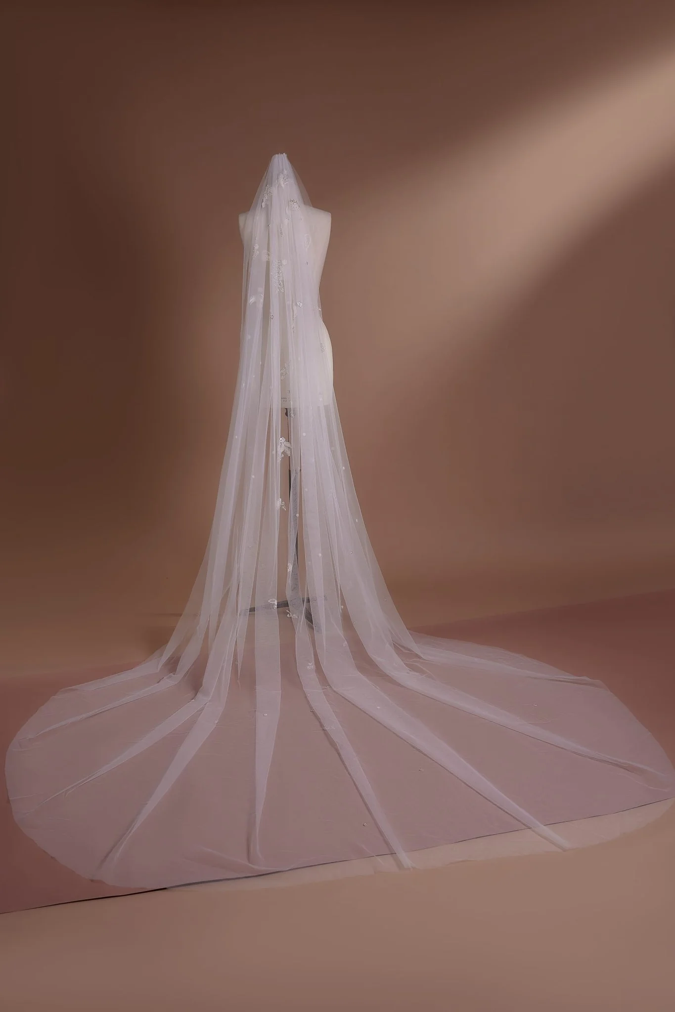 Lace Appliqué Cathedral Veil with Delicate Embroidery for Romantic Brides