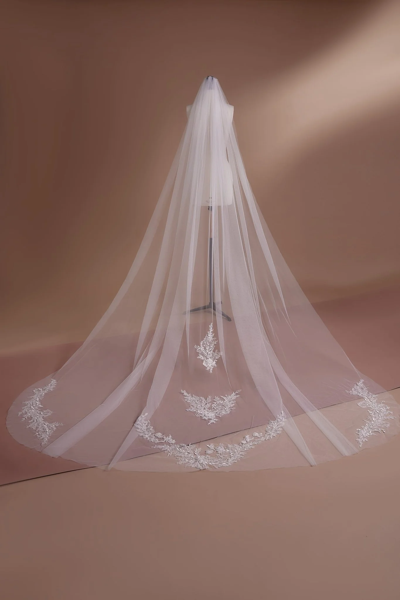 Lace Appliqué Cathedral Veil with Exquisite Embroidery for Elegant Brides