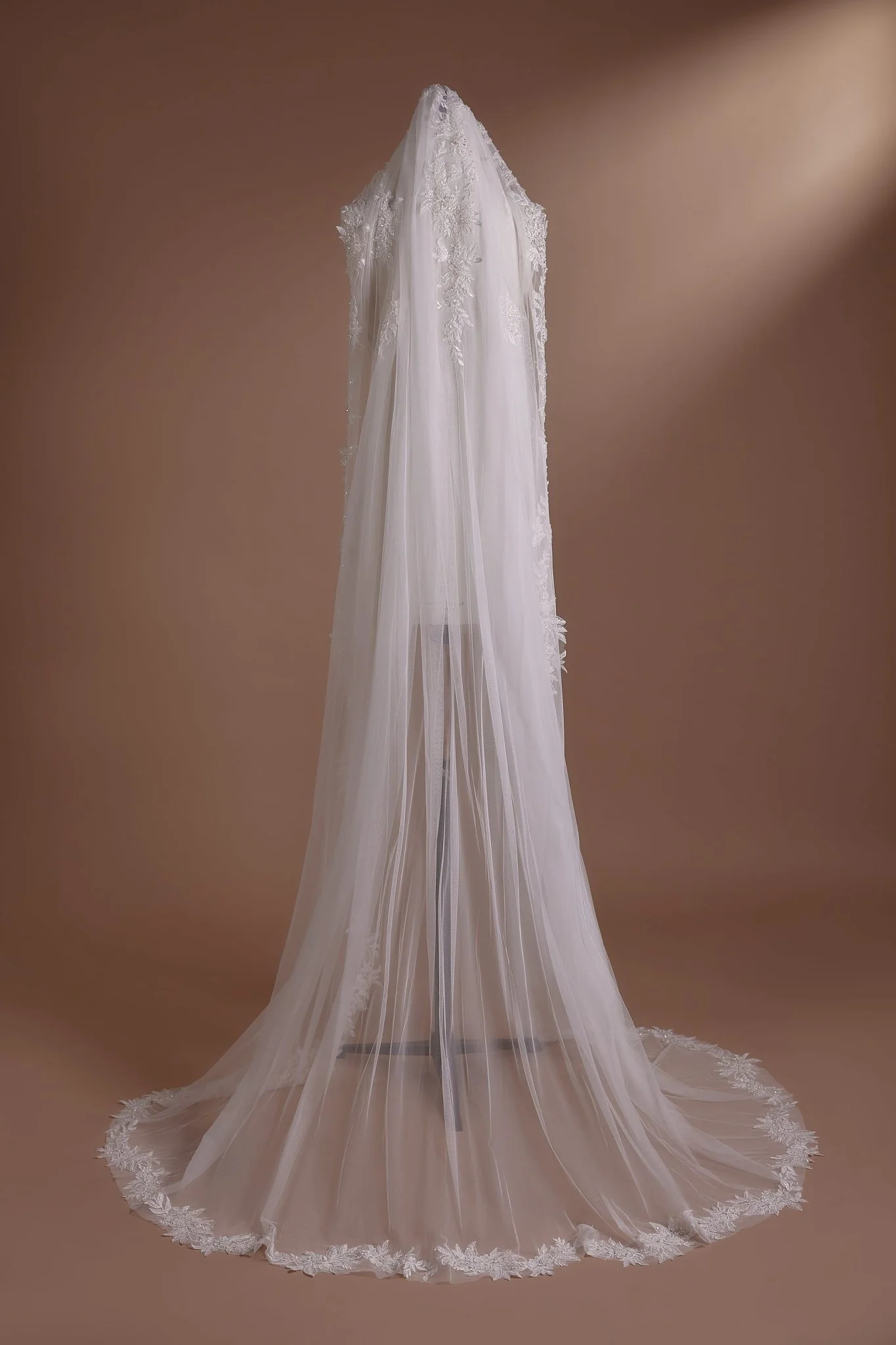 Lace Edged Long Cathedral Veil with Floral Detailing Plus Size