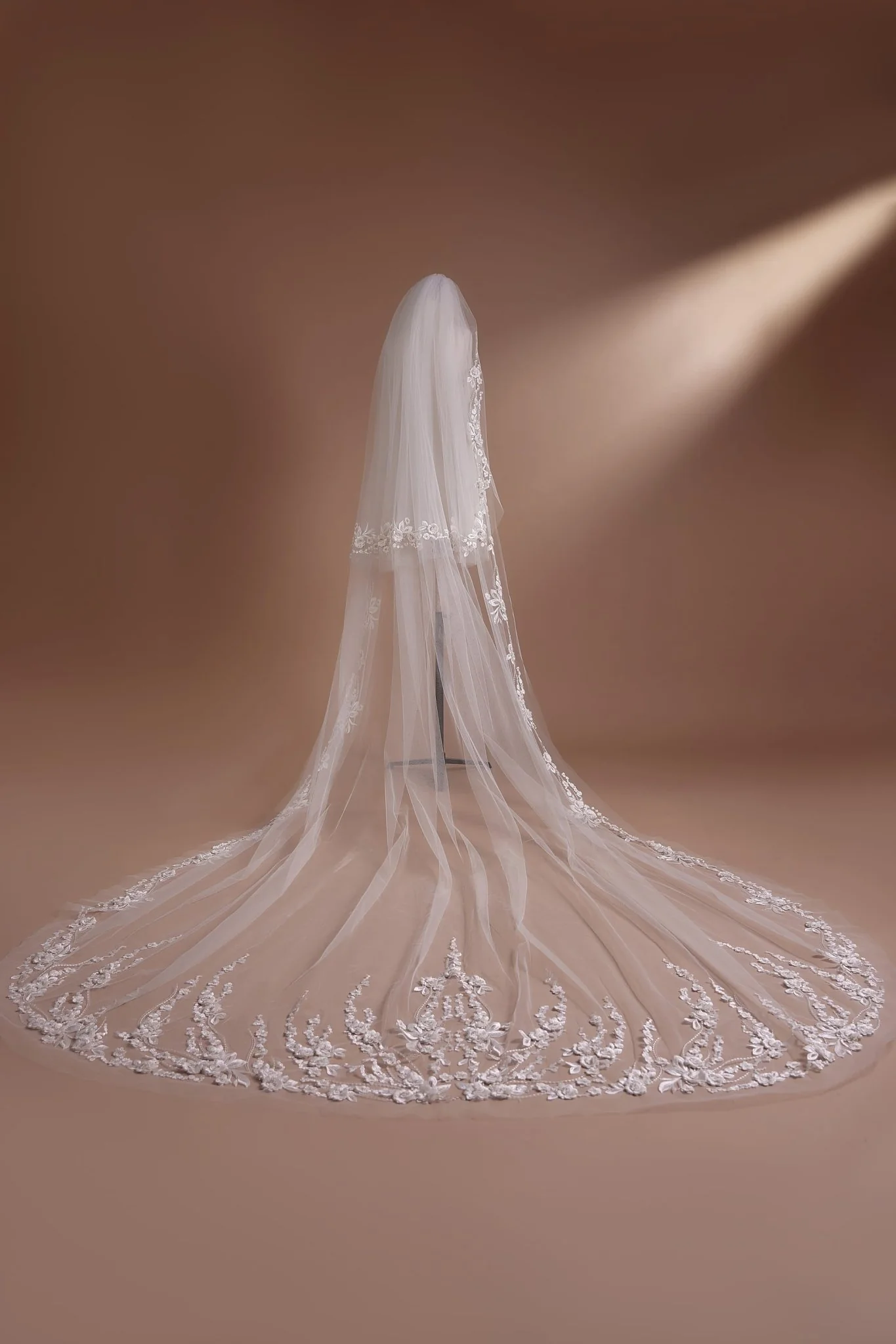 Lace-Trimmed Cathedral Veil with Floral Embroidery Plus Size