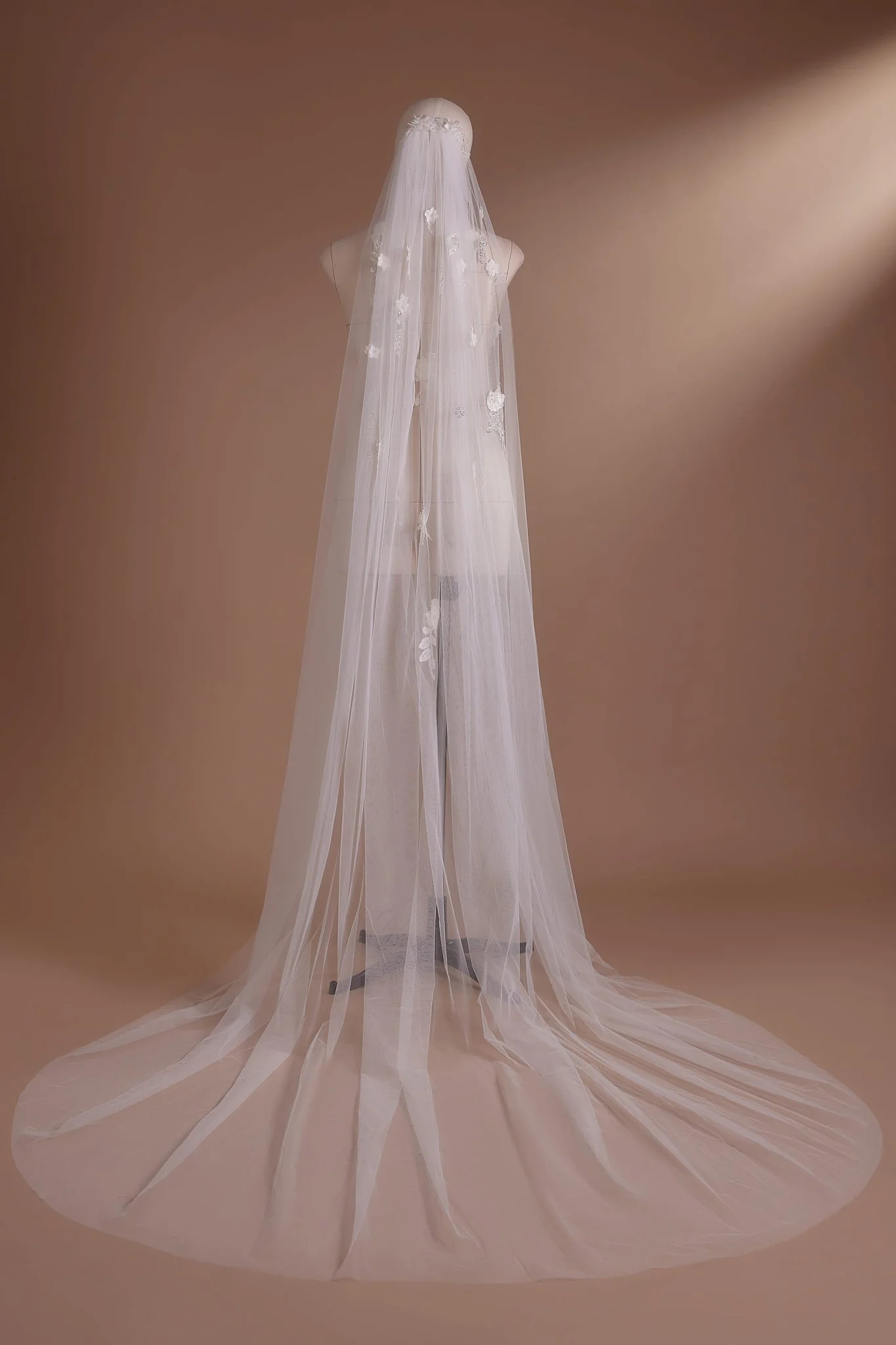 Pearl and Floral Cathedral Veil with Lace Edging Plus Size